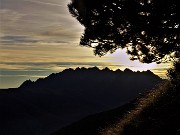 Madonna delle Cime sul Corno Zuccone da Reggetto di Vedeseta-19nov21- FOTOGALLERY